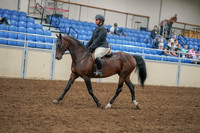 2020 - AB Morgan Horse - Sat, Sept 05 - 09312