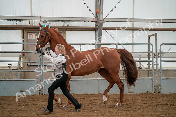 July 19, 2019 - 1362