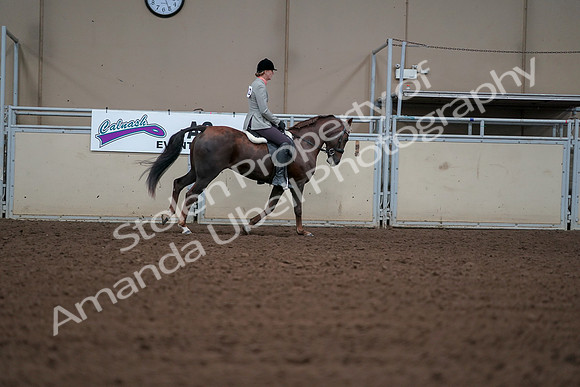 2019 Morgan Horse Show - Aug 30, 2019 - 18581