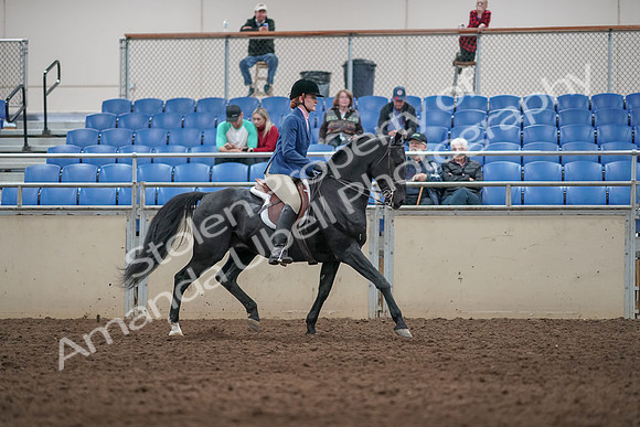 2019 Morgan Horse Show - Aug 31, 2019 - 07403