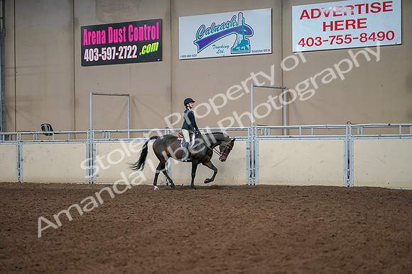 2019 Morgan Horse Show - Aug 30, 2019 - 12472