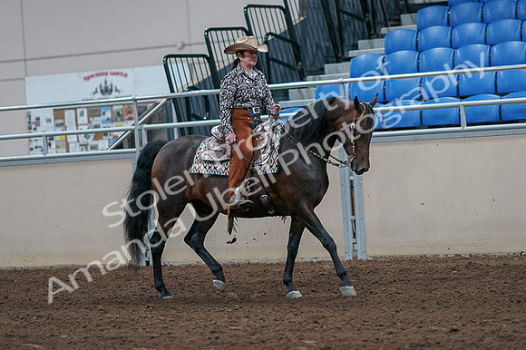 2020 - AB Morgan Horse - Fri, Sept 04 - 00097