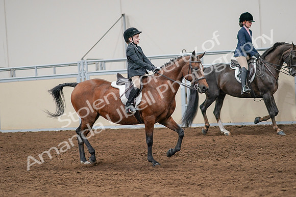 2020 - AB Morgan Horse - Sun, Sept 06 - 08003