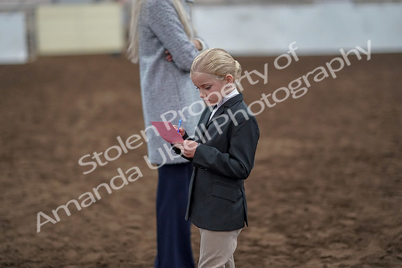 2019 Morgan Horse Show - Aug 31, 2019 - 03951