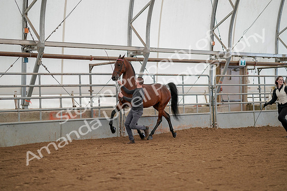 July 19, 2019 - 1229