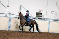 2020 - AB Morgan Horse - Sat, Sept 05 - 08532