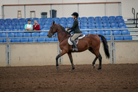 2019 Morgan Horse Show - Aug 31, 2019 - 04826