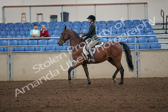 2019 Morgan Horse Show - Aug 31, 2019 - 04826