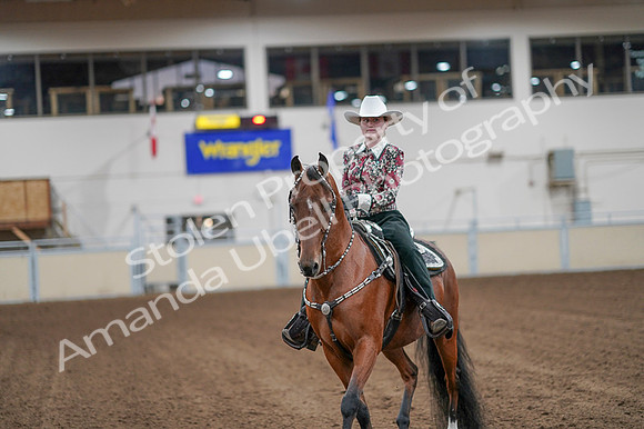 2020 - AB Morgan Horse - Fri, Sept 04 - 08501