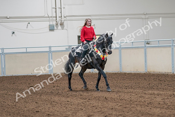2020 - AB Morgan Horse - Sat, Sept 05 - 10487