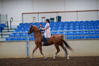 2019 Morgan Horse Show - Aug 30, 2019 - 21398