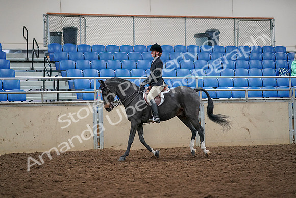 2019 Morgan Horse Show - Aug 30, 2019 - 23417