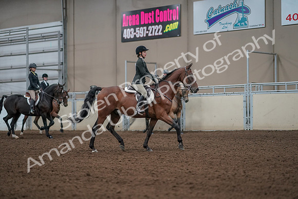 2019 Morgan Horse Show - Aug 31, 2019 - 05188
