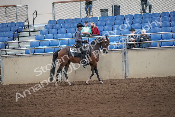 2019 Morgan Horse Show - Aug 31, 2019 - 06226
