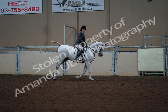 2019 Morgan Horse Show - Aug 30, 2019 - 17616