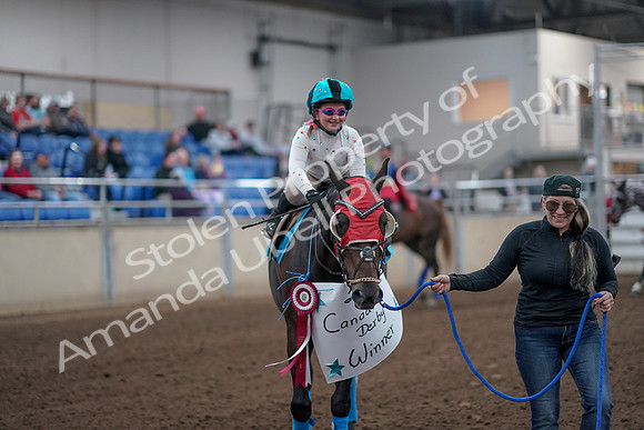2019 Morgan Horse Show - Aug 31, 2019 - 09976