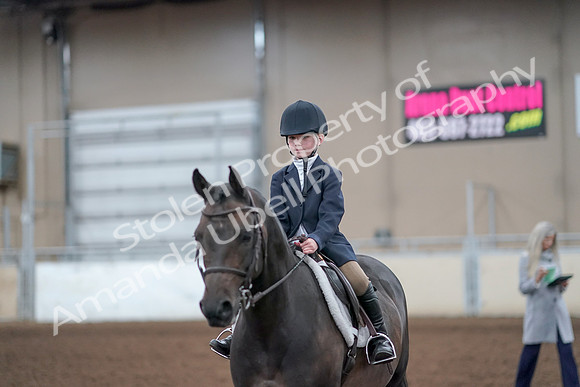 2019 Morgan Horse Show - Aug 31, 2019 - 19709