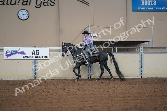 2019 Morgan Horse Show - Aug 30, 2019 - 16827