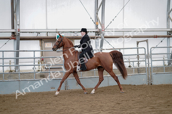 July 21, 2019 - 10481
