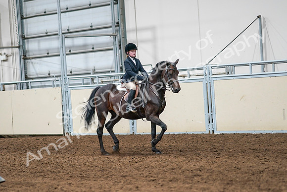 2020 - AB Morgan Horse - Sun, Sept 06 - 08133
