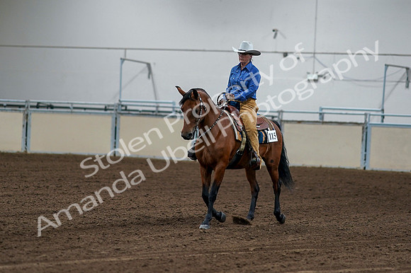 2020 - AB Morgan Horse - Fri, Sept 04 - 00134