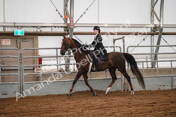 July 19, 2019 - 8786