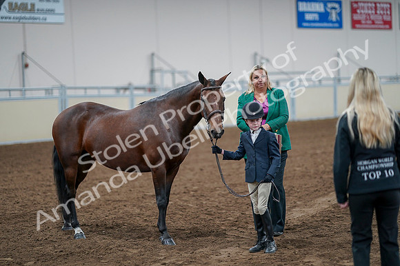 2020 - AB Morgan Horse - Fri, Sept 04 - 01020