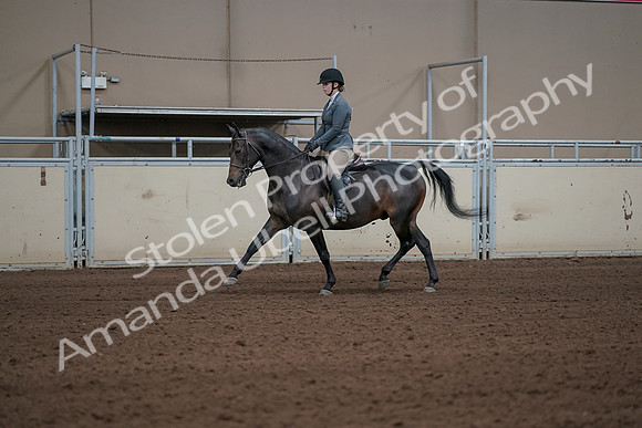 2019 Morgan Horse Show - Sept 01, 2019 - 10910