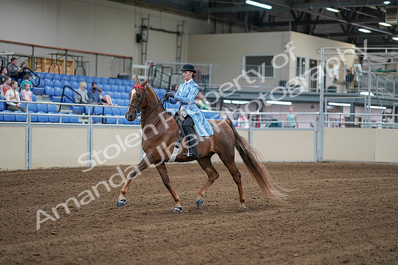 2020 - AB Morgan Horse - Sat, Sept 05 - 06123