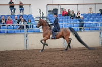 2019 Morgan Horse Show - Aug 31, 2019 - 19923