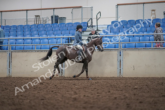 2019 Morgan Horse Show - Aug 31, 2019 - 16760
