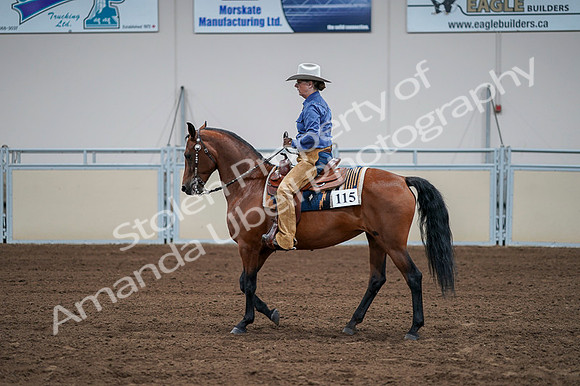 2020 - AB Morgan Horse - Fri, Sept 04 - 00172