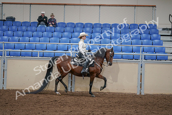 2020 - AB Morgan Horse - Fri, Sept 04 - 08447