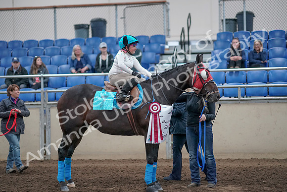 2019 Morgan Horse Show - Aug 31, 2019 - 10198