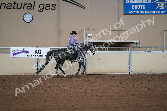 2019 Morgan Horse Show - Aug 30, 2019 - 16995
