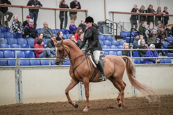 Spring Fling - Saturday - April 20, 2019  -  04611