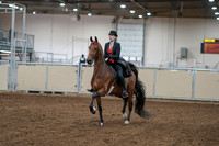 2020 - AB Morgan Horse - Sat, Sept 05 - 06691