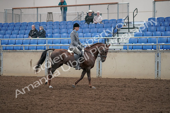 2019 Morgan Horse Show - Aug 31, 2019 - 07492