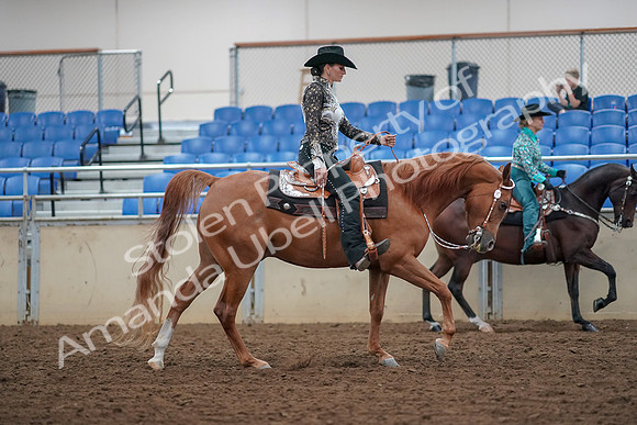 2019 Morgan Horse Show - Aug 30, 2019 - 16971