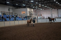 2019 Morgan Horse Show - Aug 31, 2019 - 01483