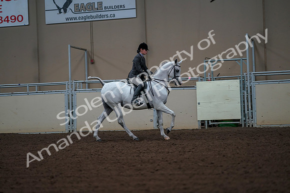2019 Morgan Horse Show - Aug 30, 2019 - 17561