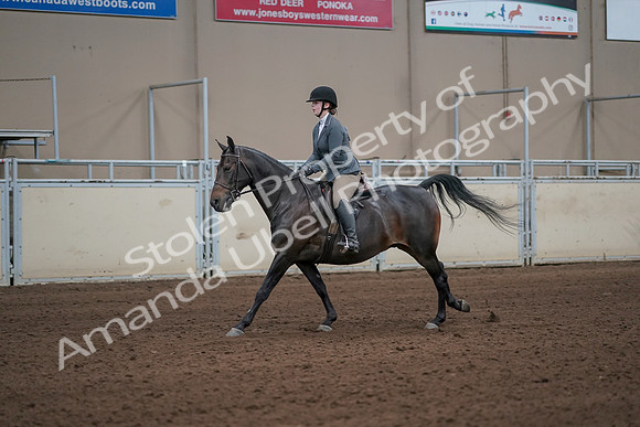 2019 Morgan Horse Show - Sept 01, 2019 - 10978