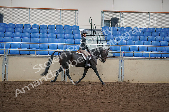 2019 Morgan Horse Show - Aug 30, 2019 - 12463