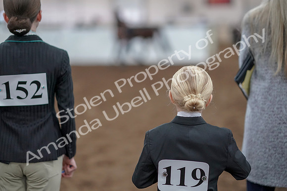 2019 Morgan Horse Show - Aug 31, 2019 - 03931