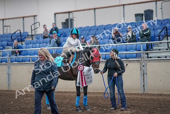2019 Morgan Horse Show - Aug 31, 2019 - 10214