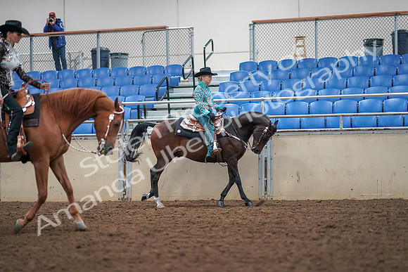 2019 Morgan Horse Show - Aug 30, 2019 - 16964