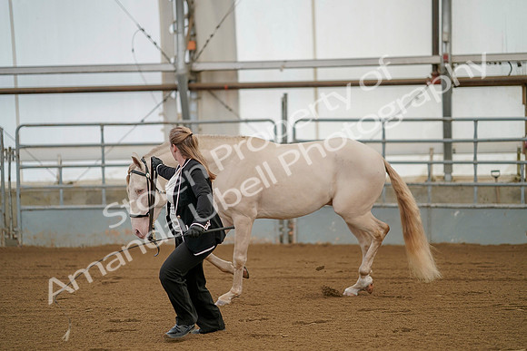 July 19, 2019 - 354