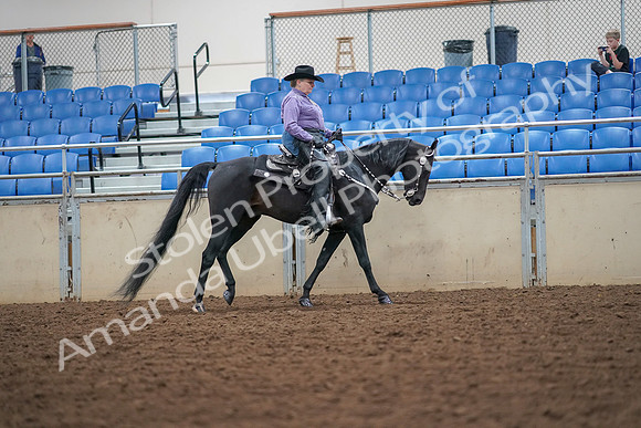 2019 Morgan Horse Show - Aug 30, 2019 - 16929