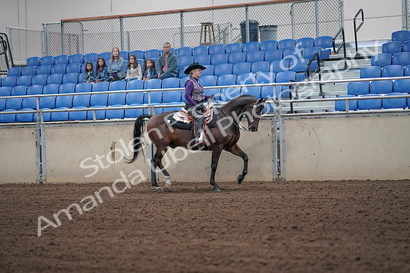 2019 Morgan Horse Show - Aug 31, 2019 - 10775