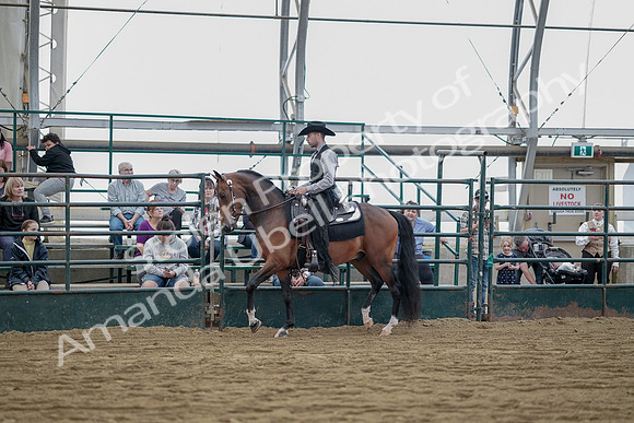 July 21, 2019 - 06560